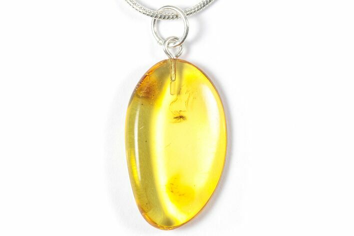 Polished Baltic Amber Pendant (Necklace) - Contains Fly! #357959